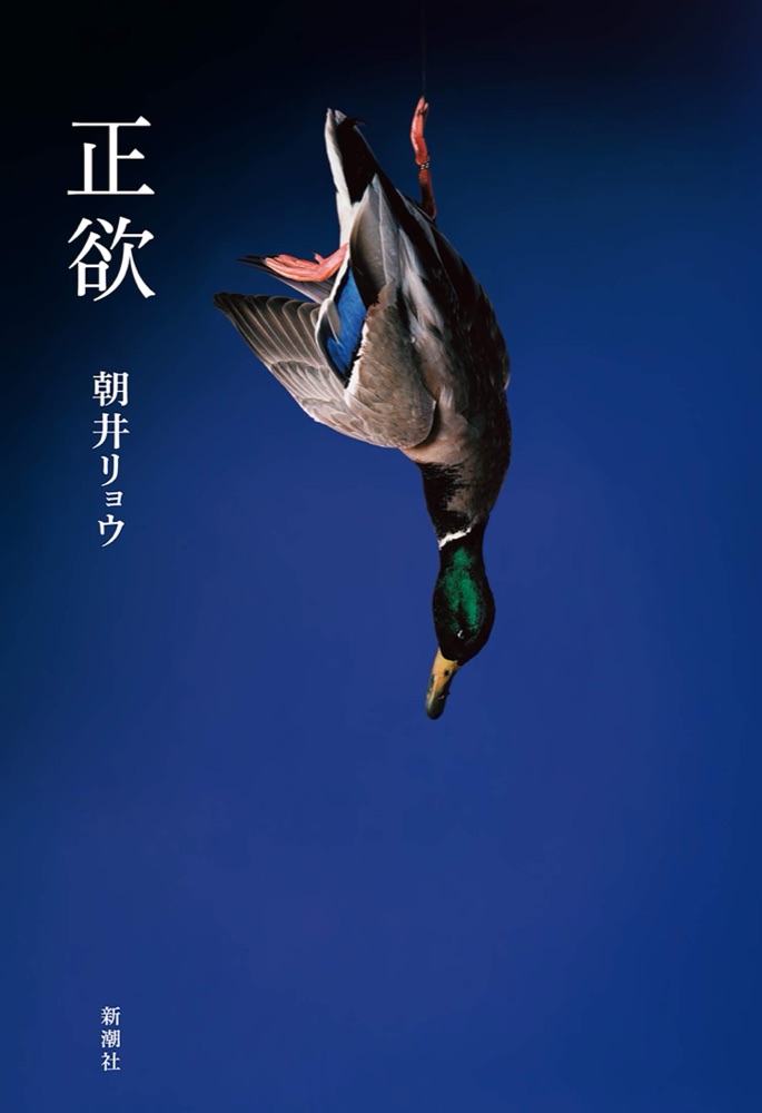 『正欲』の表紙